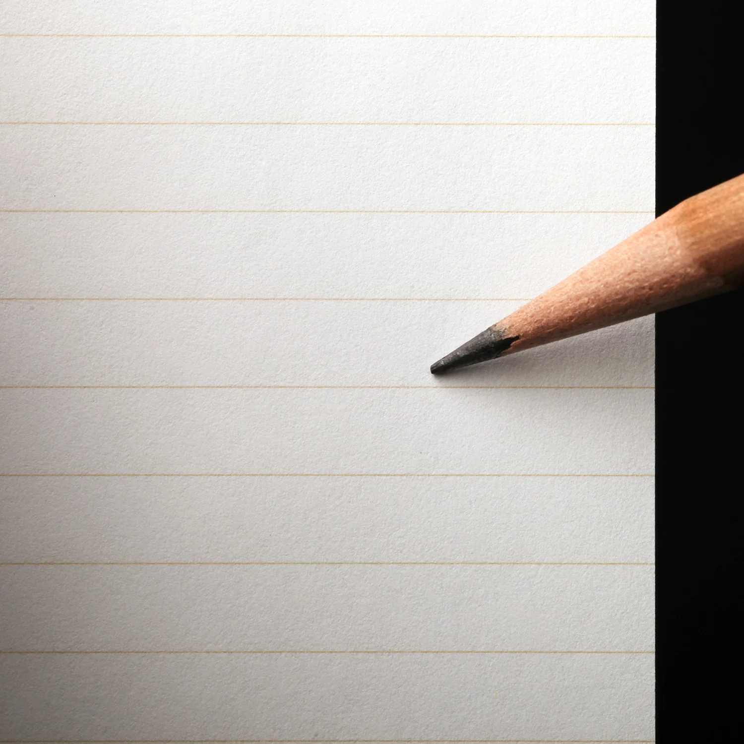 FIELD NOTES - RULED PAPER (3 PACK) - Image 2